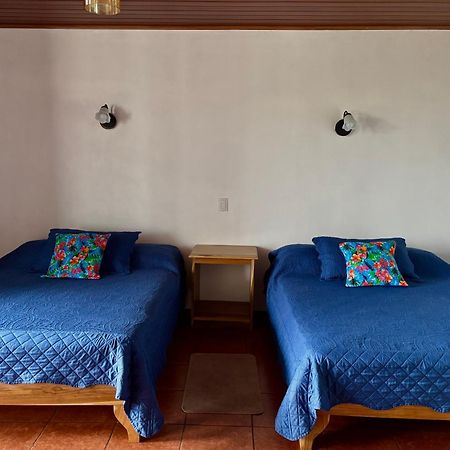 Monteverde Ecolodge Zewnętrze zdjęcie